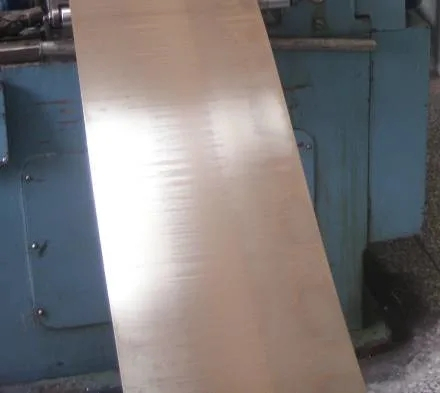 Стержень сплава никеля/полоска/проволока в 100 (EMS55089)